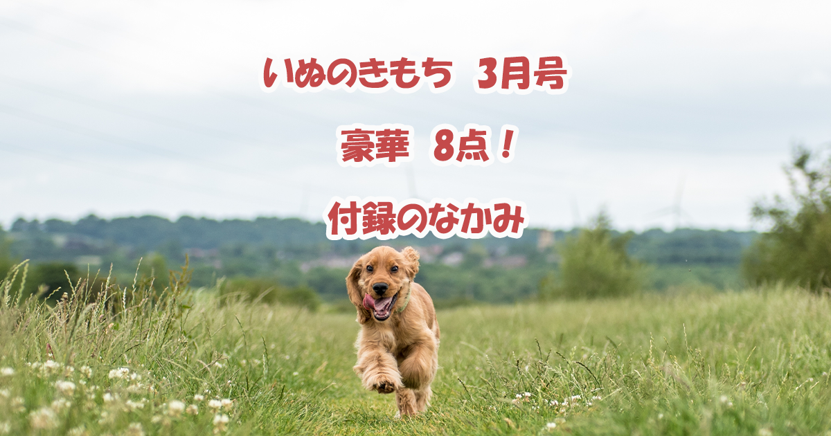 いぬのきもち　3月号　付録のなかみ